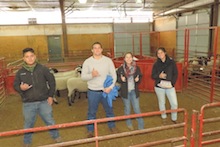 4-H livestock judging team